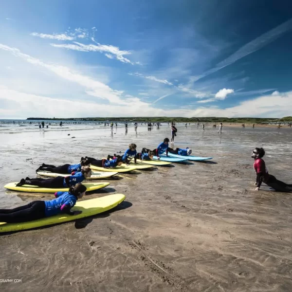 A group of surfers practicing on surfboards on the beach before entering the water.