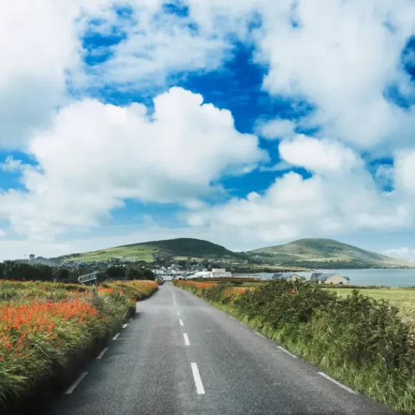 A scenic coastal road flanked by wildflowers leading toward a green hill under a partly cloudy sky.