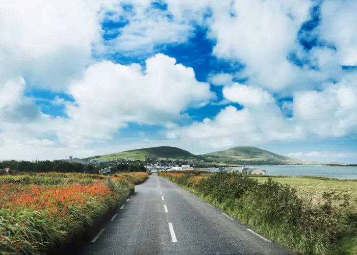 A scenic coastal road flanked by wildflowers leading toward a green hill under a partly cloudy sky.