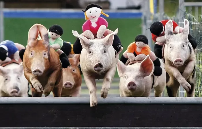 Toy jockeys on racing pigs clearing a hurdle in Ireland