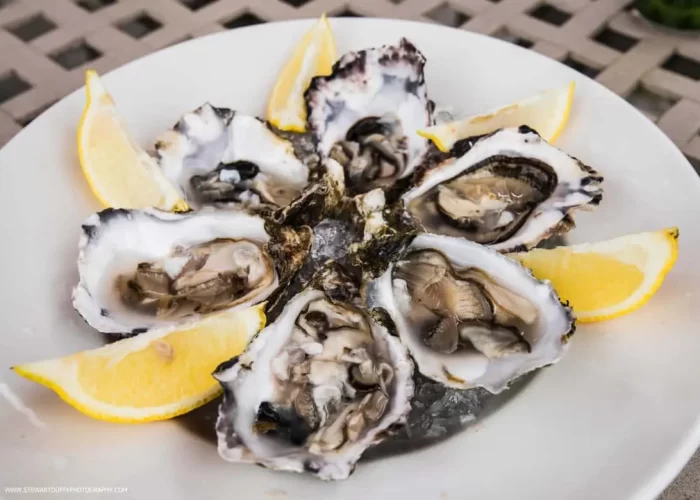 A plate of fresh oysters served with lemon wedges.