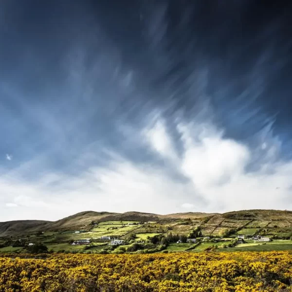 Expansive view of a rural landscape with dramatic cloud patterns over rolling hills and a blooming yellow gorse field.