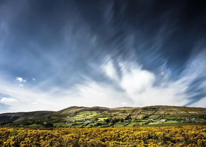 Expansive view of a rural landscape with dramatic cloud patterns over rolling hills and a blooming yellow gorse field.