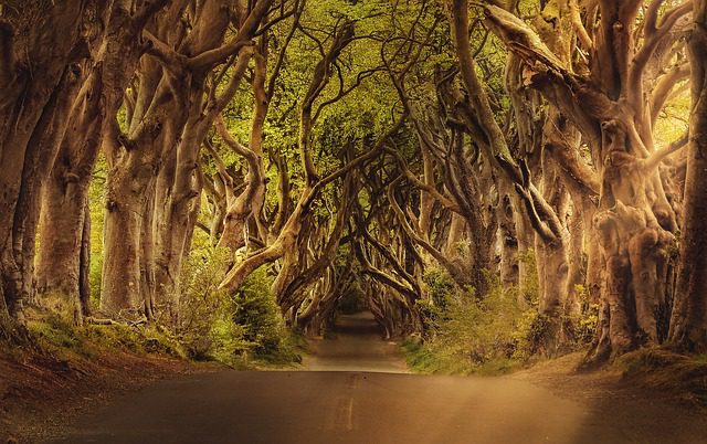 Where In Westeros: How Well Do You Know George R.R. Martin’s Fantastical World?