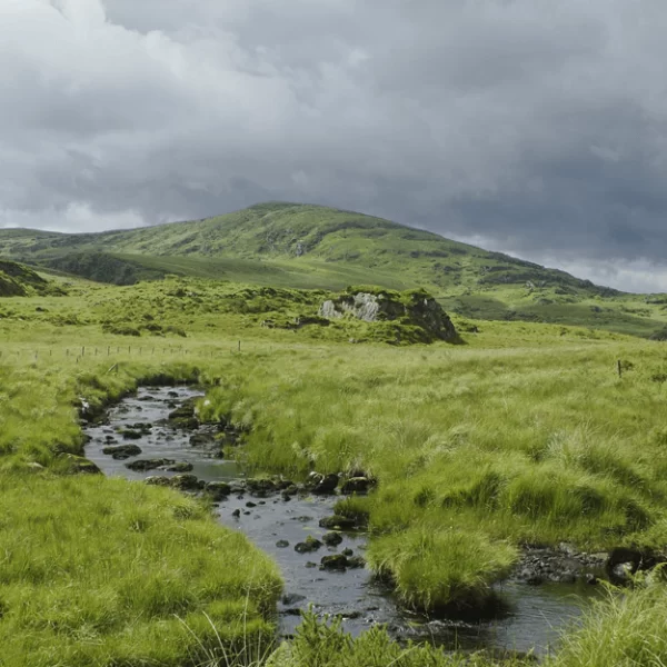 A meandering stream flows through a lush green landscape with rolling hills under a cloudy sky.