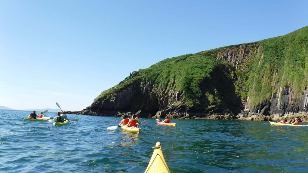 kayaking with dolphins in Dingle Bay