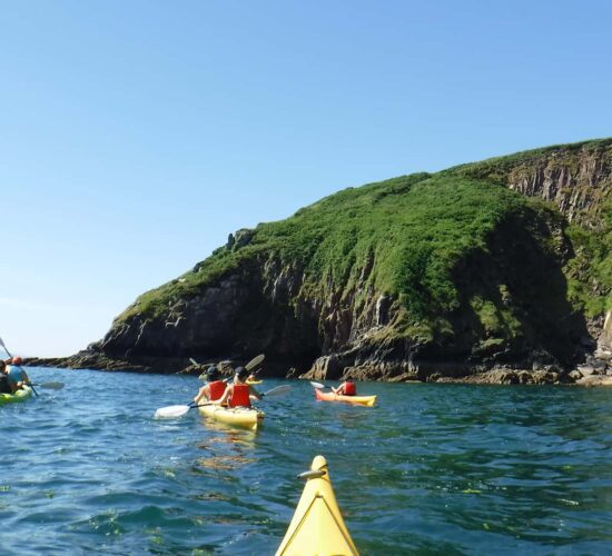 kayaking with dolphins in Dingle Bay