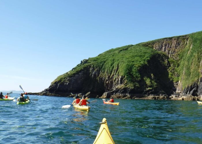 kayaking with dolphins in Dingle Bay