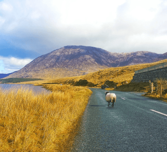 Connemara Ireland