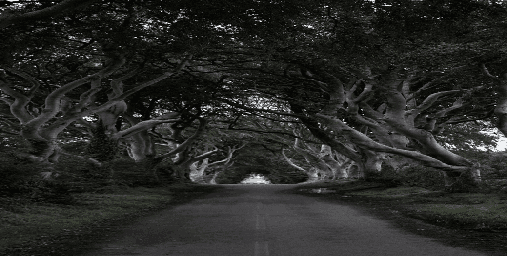 The Dark Hedges, Antrim