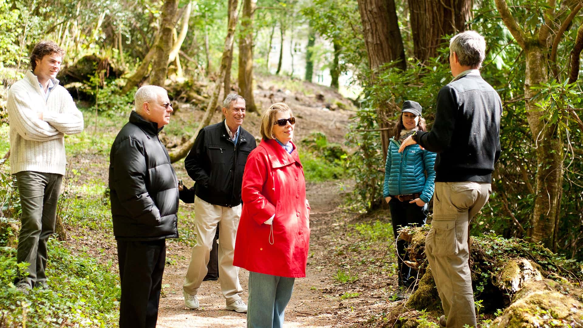 Group of adults engaged in conversation on a private tour through an Ireland forest trail.