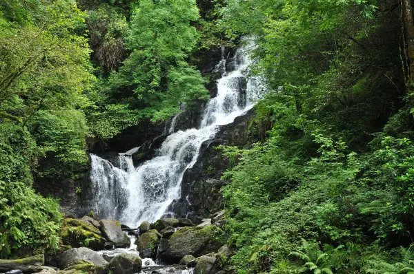 Cascade waterfall in a lush green forest.