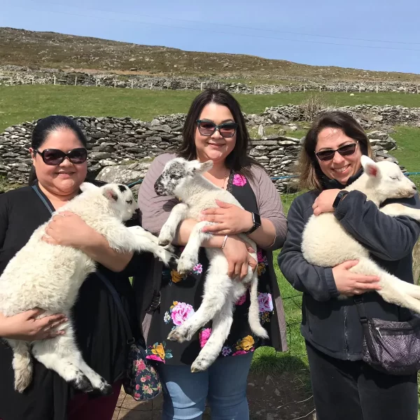 Three smiling women holding young lambs in a sunny countryside setting.