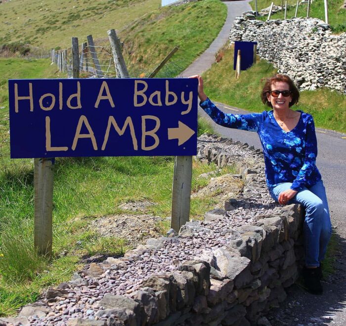 A woman sitting on a stone wall next to a sign that reads "hold a baby lamb" with an arrow pointing to the right, on a sunny day with a grassy hillside in the background