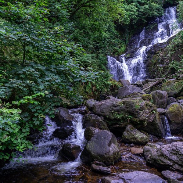 A cascading waterfall amid lush green foliage with rocks scattered in the foreground.