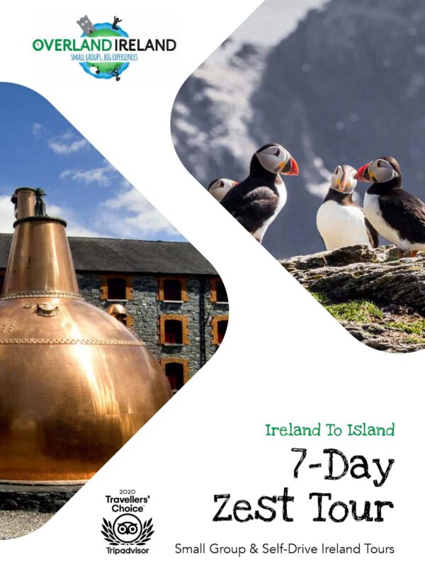 Promotional flyer for Ireland Tours' 7-day zest tour featuring an image of puffins and an Irish whiskey distillery.
