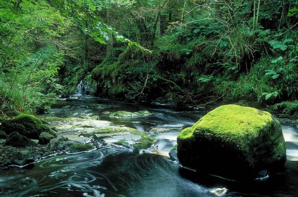 Green Glens of Antrim