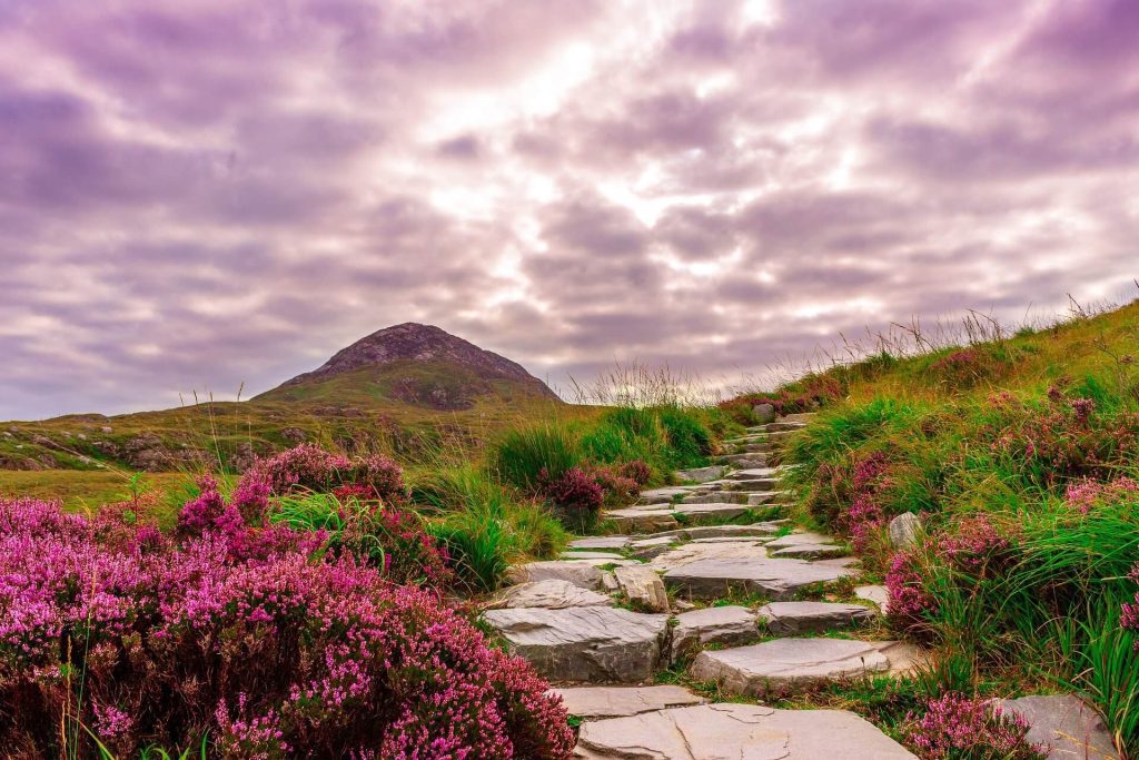 Connemara National Park