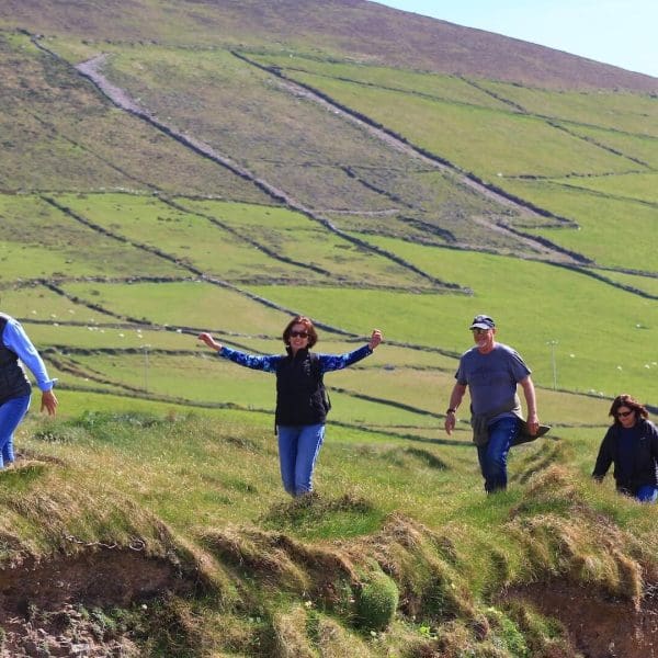 Five people walk along a grassy hillside with terraced green fields in the background, embodying the spirit of Southern Ireland tours. One person in the center has their arms raised, embracing the clear blue sky.