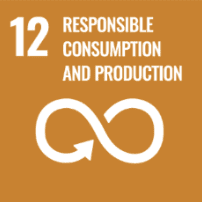 Un Sustainable Development Goal 12: Responsible consumption and production icon, emphasizing small group tours in Ireland.
