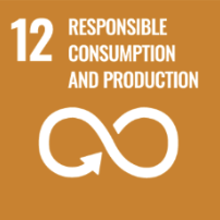 United nations sustainable development goal 12: responsible consumption and production.