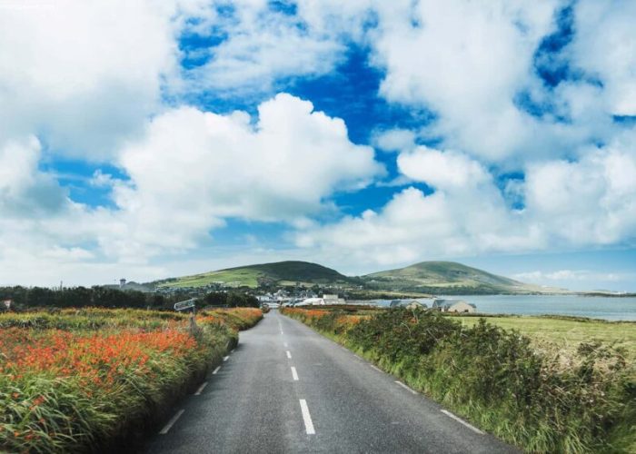 Open country road flanked by flowering bushes and green fields leading towards distant hills under a cloudy blue sky.