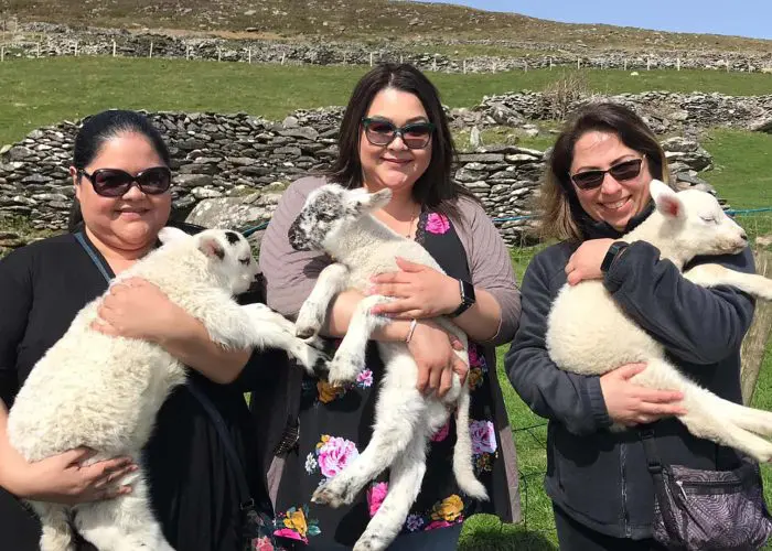 Three women smiling and holding lambs in a sunny field surrounded by stone walls.