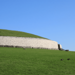 Two blackbirds on vibrant green grass in front of an ancient stone wall under a clear blue sky.