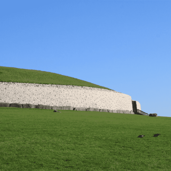 Two blackbirds on vibrant green grass in front of an ancient stone wall under a clear blue sky.