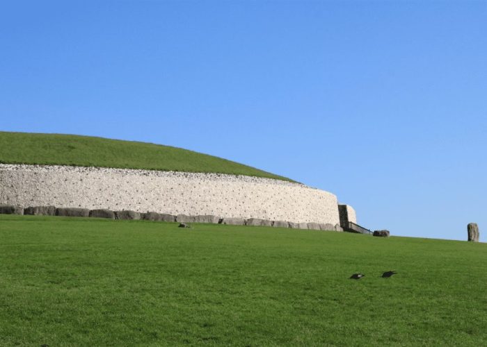 Two blackbirds on vibrant green grass in front of an ancient stone wall under a clear blue sky.