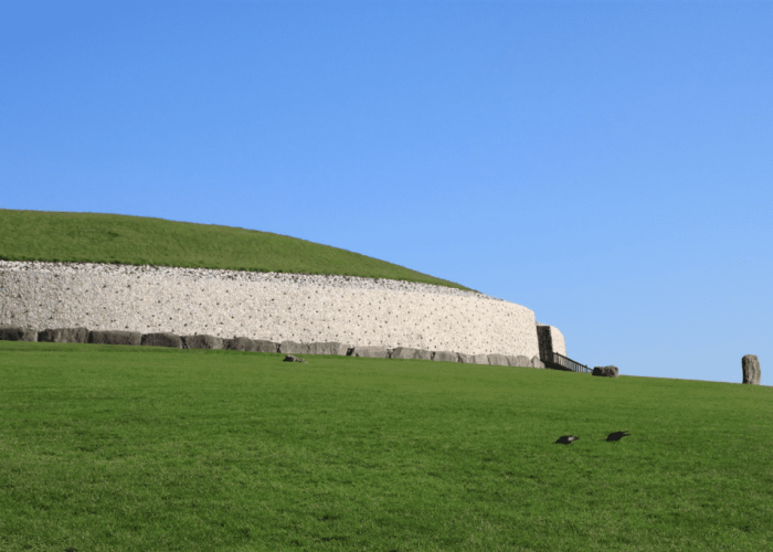 Two blackbirds on vibrant green grass in front of an ancient stone wall under a clear blue sky.