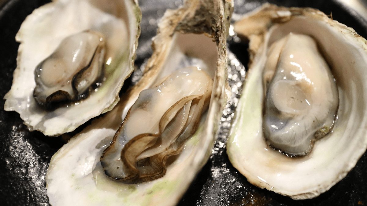 A close-up image of fresh oysters on the half shell displayed on a dark surface.