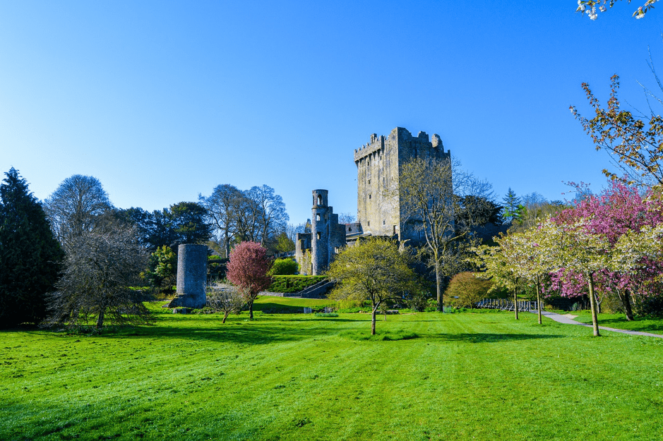 Why You Should Kiss the Blarney Stone