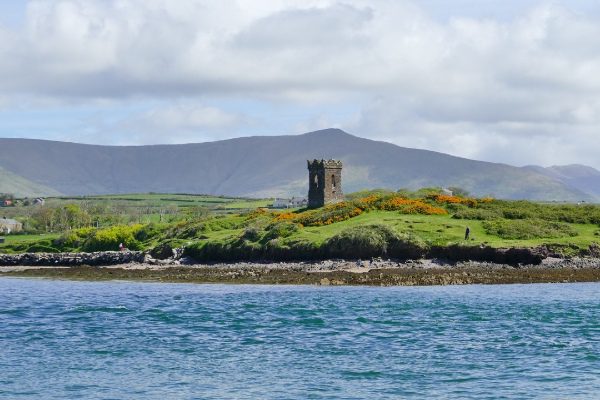 dingle bay