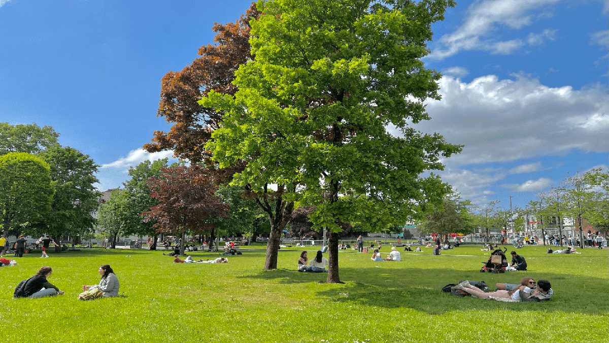 People relaxing and enjoying a sunny day in a lush park with diverse trees and scattered clouds above.
