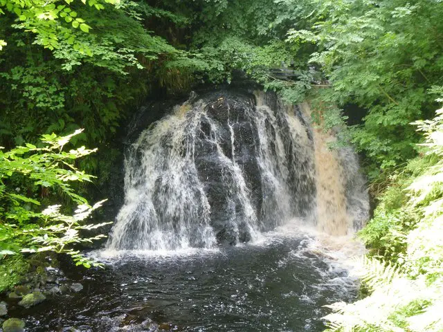 glenariff forest falls