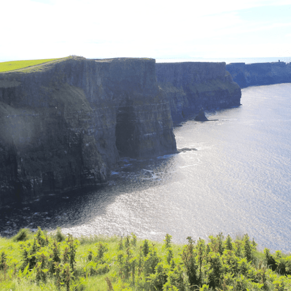 View of the cliffs of moher on a sunny day, featuring lush greenery atop steep rocky cliffs overlooking the atlantic ocean.