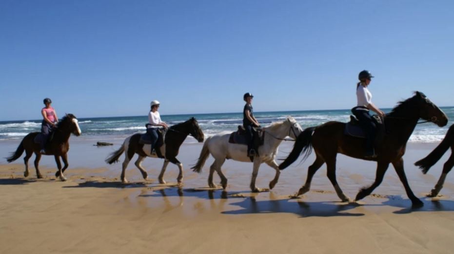 Horse riding in DIngle