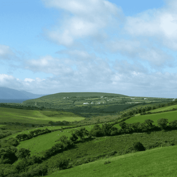 Rolling green hills under a clear blue sky, dotted with white houses and a few isolated trees, showcasing a serene rural landscape.