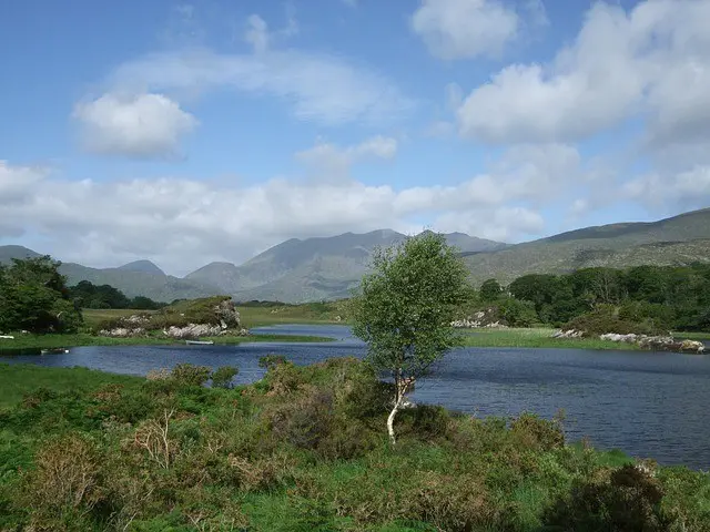 the kerry way