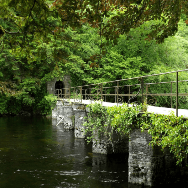 Iron railing on a stone bridge over a river, surrounded by lush green trees and foliage.