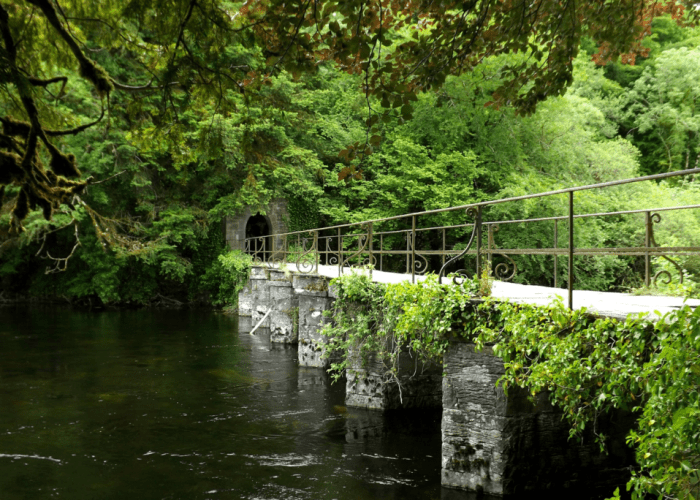 Iron railing on a stone bridge over a river, surrounded by lush green trees and foliage.