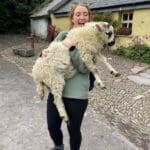 Jessica of Overland Ireland holds a fluffy sheep outside a rustic building with a cobblestone path. This is the kind of authentic Irish experience you can enjoy on your tour of Ireland.